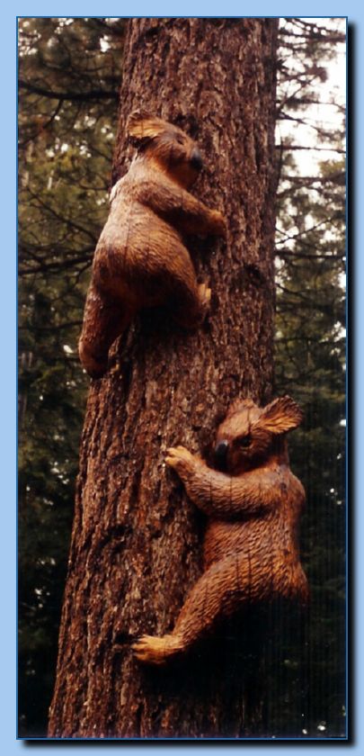 2-38 bears attached to tree-archive-0003